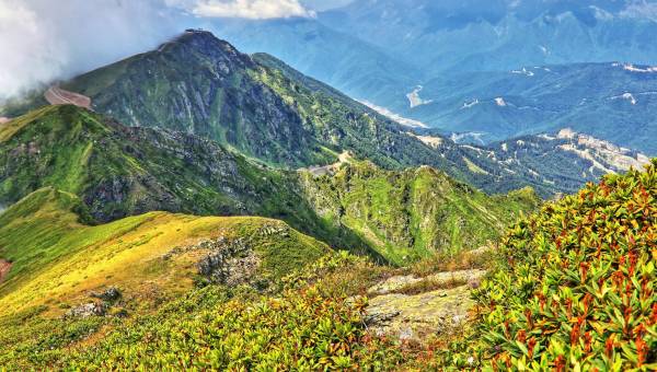 10 Years of Growing Popularity of Rosa Khutor Resort