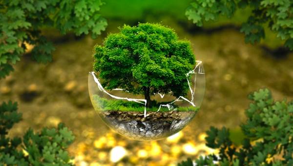 Greenpeace  Impeding Russian Economy Development under Pretext of Environmental Protection, say Experts