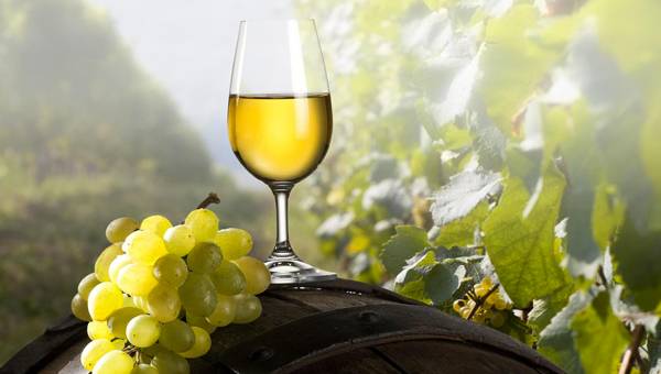 Crimea's Wine Industry Renaissance