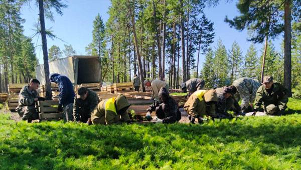 RNG is Planting Pine Seedlings in Yakutia