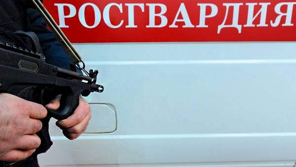 State Duma Passed 7 new Laws State Duma Passed 7 new Laws