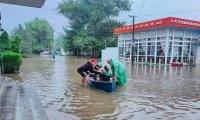 Crimea and Krasnodar Territory Struggle Against "Genesis Flood"