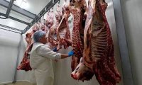 Federation Council Proposes to Pivot From Meat Imports 