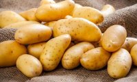 Futures on Potato