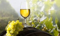 Crimea's Wine Industry Renaissance