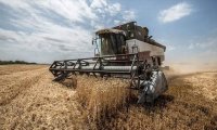 Russia may Place Embargo on Grain Exports