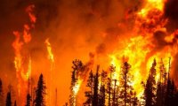 Siberia is Fighting With Forest Fires
