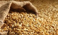 West is Failing to Fulfill Grain Deal Terms, Said Lavrov 